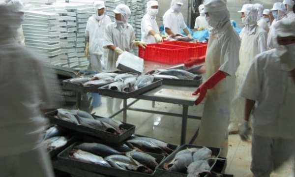 MARD requests seafood processing and exporting enterprises to 'Say no to IUU'